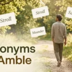 synonyms for amble