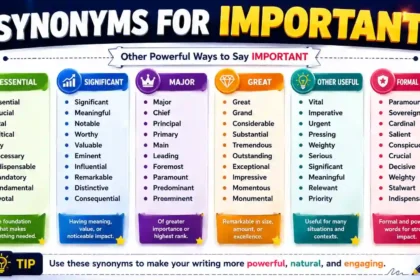 synonyms for important