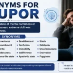synonyms for stupor