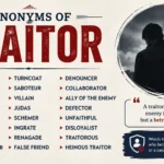 synonyms of traitor