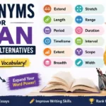 synonyms for span