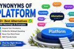 Synonyms of Platform