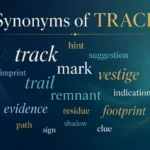 synonyms of trace