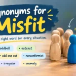 Synonyms for Misfit