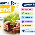 Synonyms for Tend