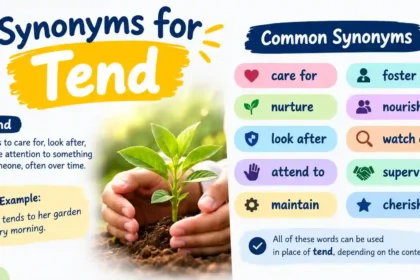 Synonyms for Tend