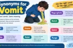 Synonyms for vomit