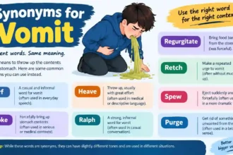 Synonyms for vomit